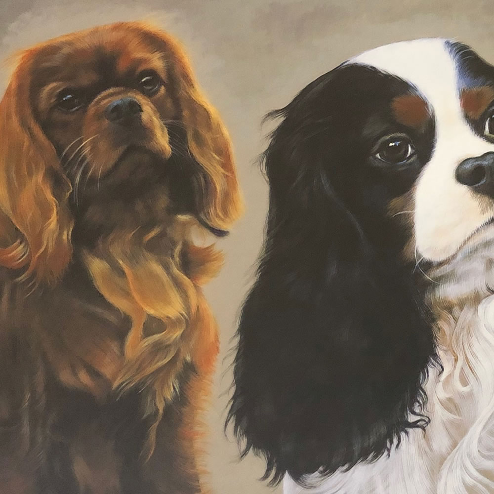 Group of Spaniels