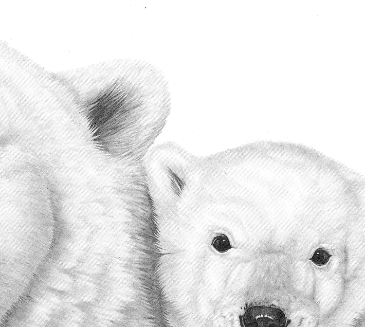 Family Portrait (Polar Bear Family)