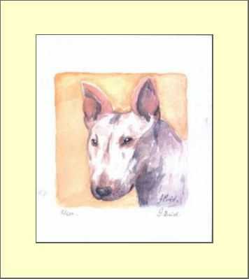 Bull Terrier Watercolour