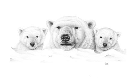 Family Portrait (Polar Bear Family)